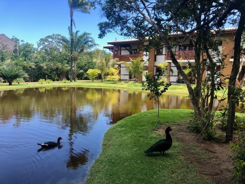 "Simplesmente Um Paraiso" Praia do Forte Exterior foto